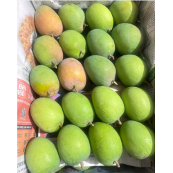 Alphonso Mangoes