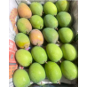 Alphonso Mangoes
