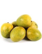 Fruits
